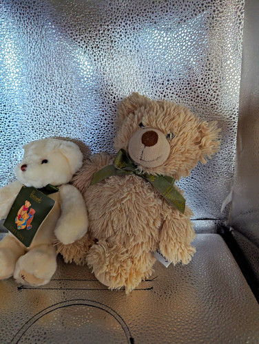 Harrods plush teddy - harrods,