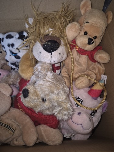 Plush toys teddies - teddies, teddy