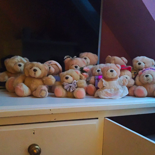 Plush teddy bear soft toys - plush,