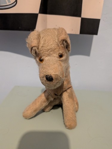 Old teddy bear - bear, lot