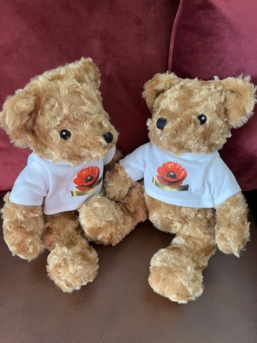 Lot brown plush - lot, 2