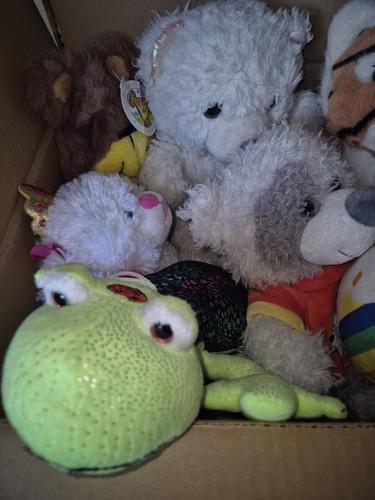 Job lot teddies - lot, 32