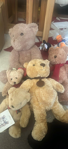 Spencer bear beige plush teddy - spencer,