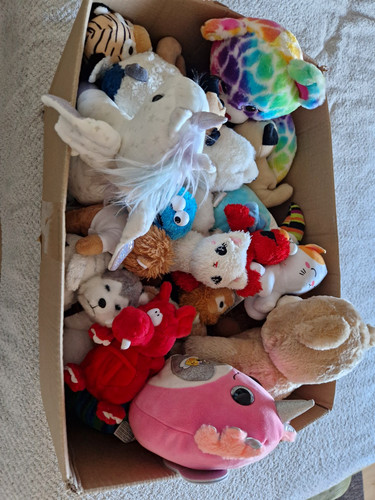 Plus job lot bundle - 50,