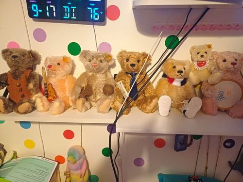 Steiff teddy mohair - bear, lot