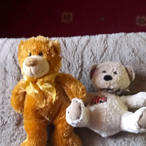 Gift pack plush - 2x,