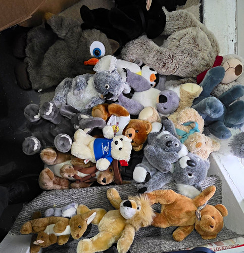 Mixed plush toy job lot - mixed,