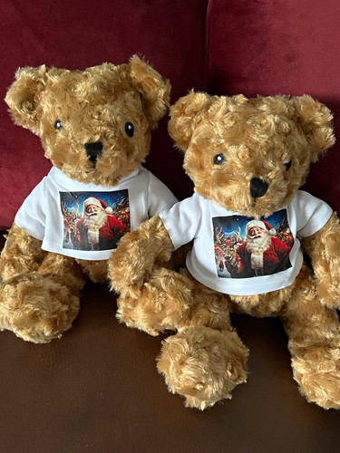Lot brown plush teddy - lot,