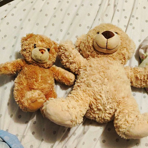 Lot plush teddy bears - plush,