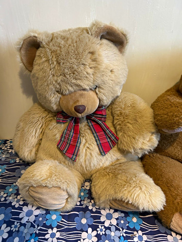 Lot plush teddy bears - 2,